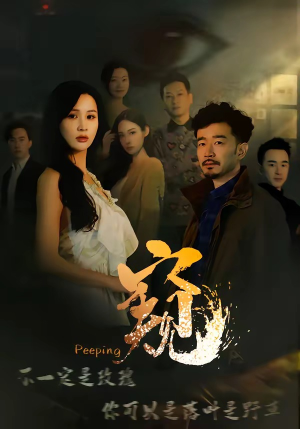 窥＆窥伺（37集）好看又上头的热播短剧