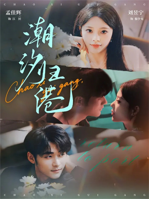 潮汐归港（66集）经典老剧短剧免费看