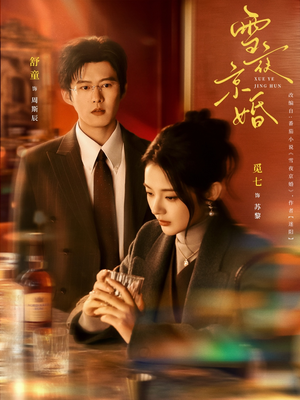 雪夜京婚（84集）高分短剧推荐值得一看