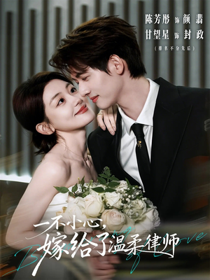 一不小心，嫁给了温柔律师（65集）一毛不花追完短剧的平台精选