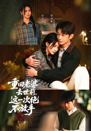 重回老婆去世前，这一次绝不放手（80集）在线观看全集的热门短剧推荐